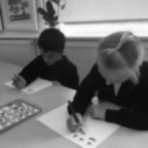 Elmgrove Primary School & Nursery Profile (2024)