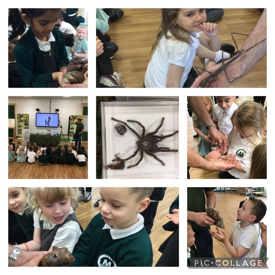 Mead Primary School Profile (2023)