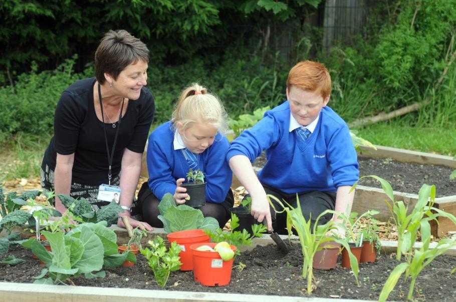 High Bank Junior Infant and Nursery School Profile (2023)