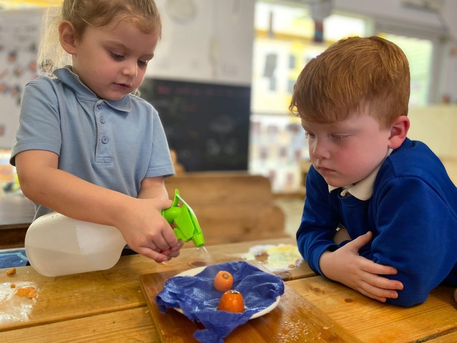 Grangetown Primary School in Sunderland Profile (2023)