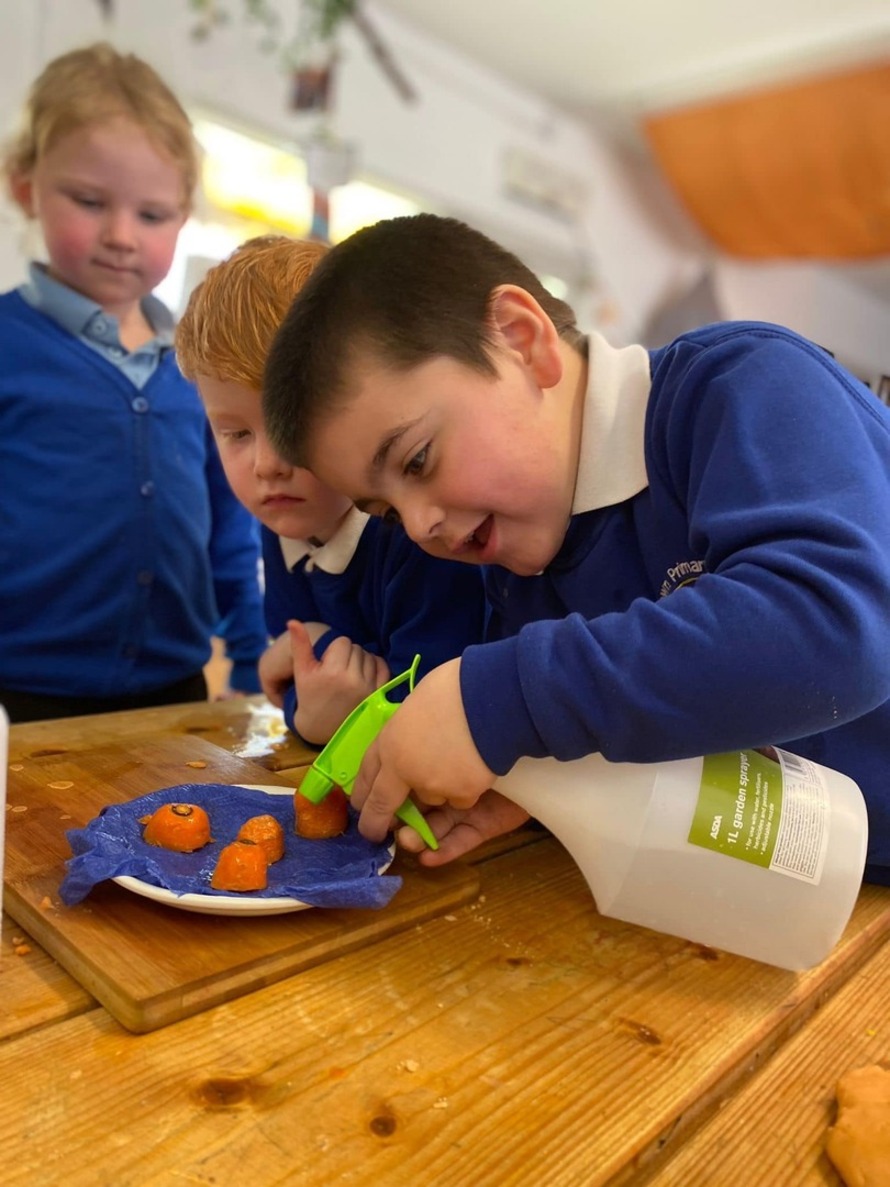 Grangetown Primary School in Sunderland Profile (2023)