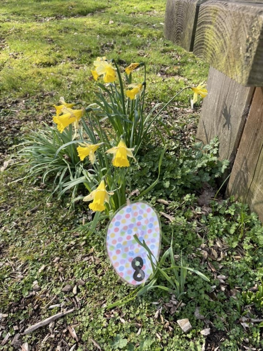 Berry Hill Primary School in West Dean Profile (2023)