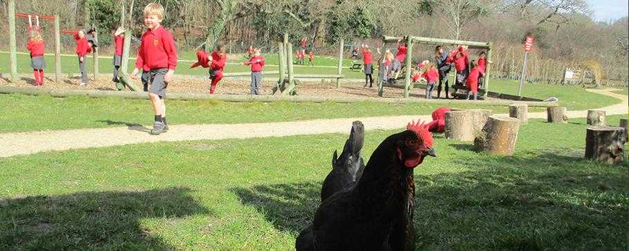 South Baddesley Church of England Primary School Profile (2024)