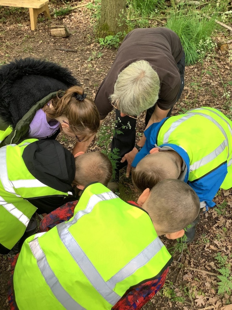 Chawson First School Profile (2023)