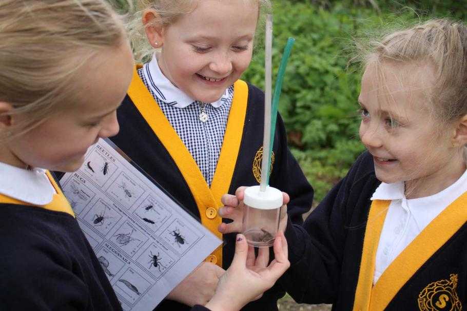 Best Schools in Staplehurst (2024)