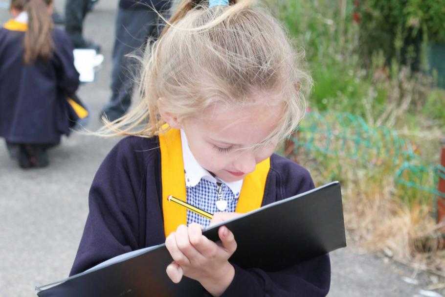 Staplehurst School Profile (2023)