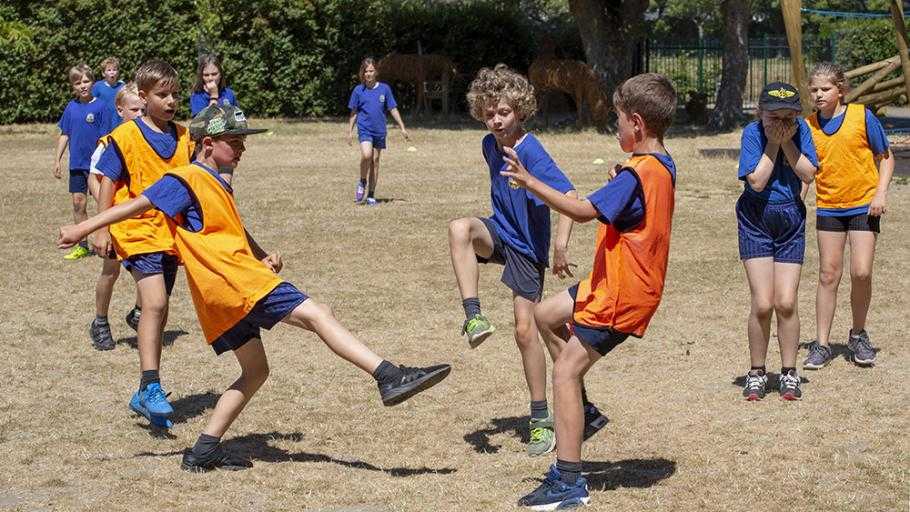 Best Schools in Sandgate (2024)