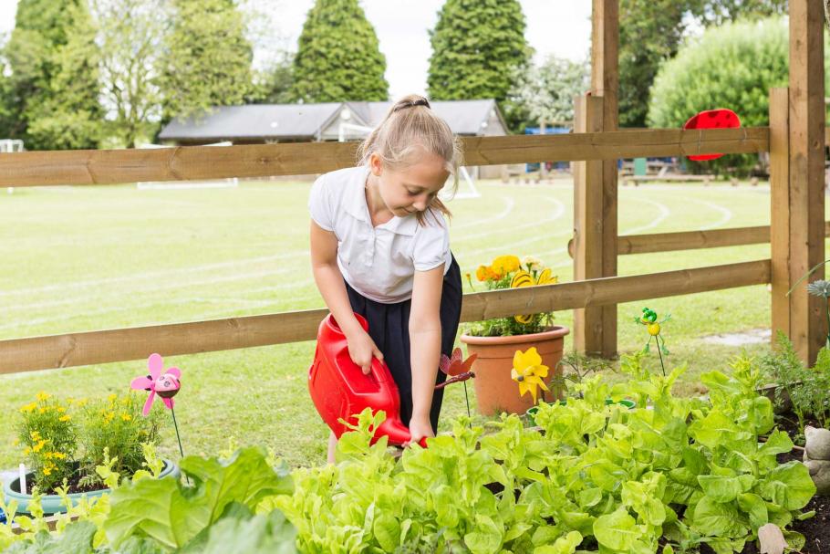Kingswood Primary School in Croydon Profile (2024)
