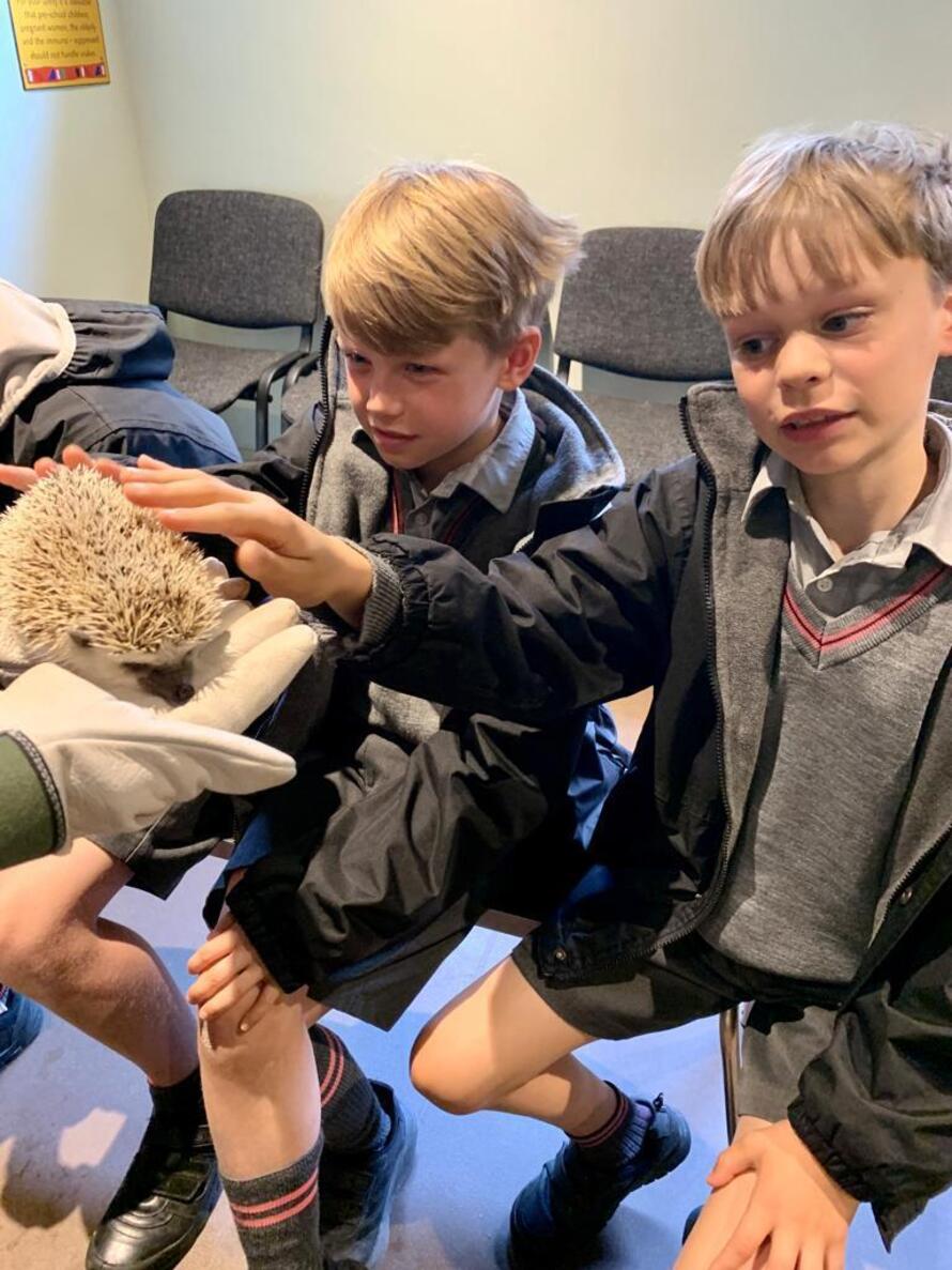 Brambletye School Profile (2023)