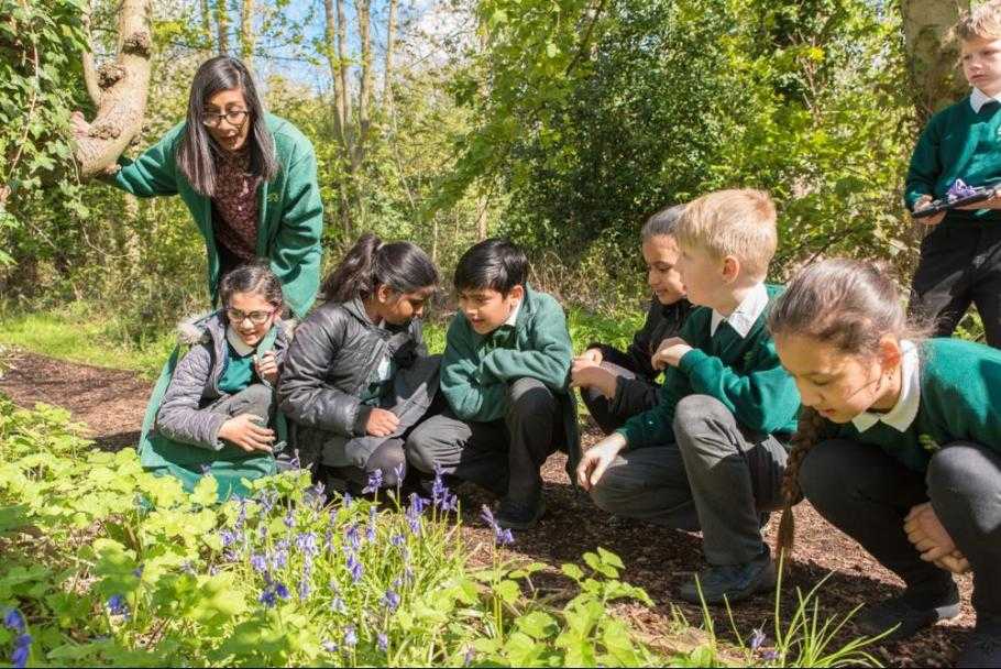 Penn Wood Primary and Nursery School Profile (2023)