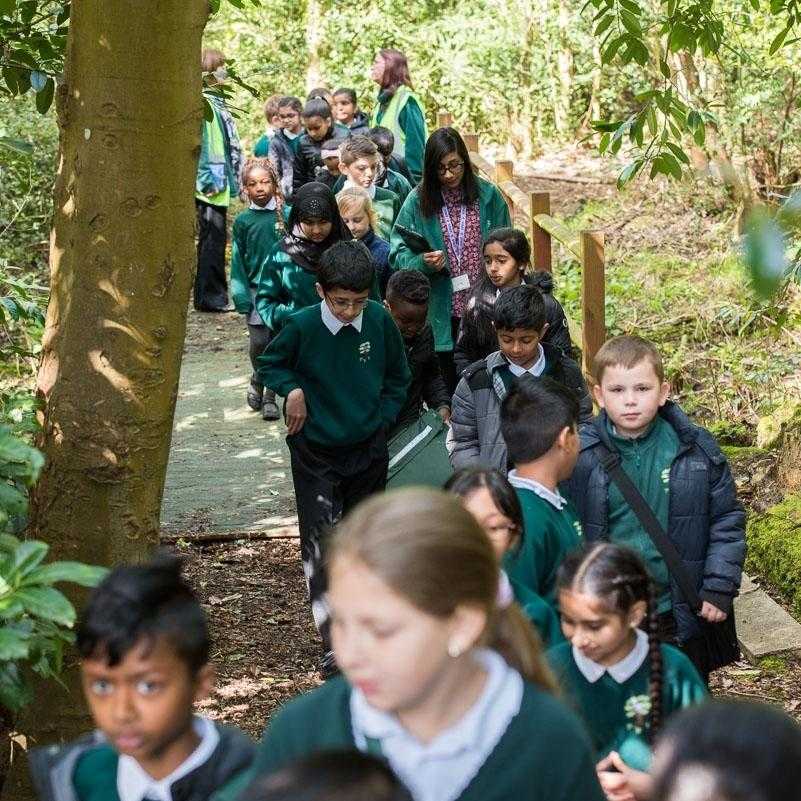 Penn Wood Primary and Nursery School Profile (2023)