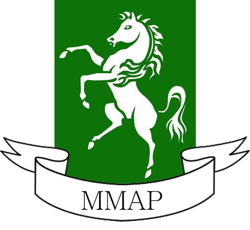 Maidstone And Malling Alternative Provision Profile 2024 
