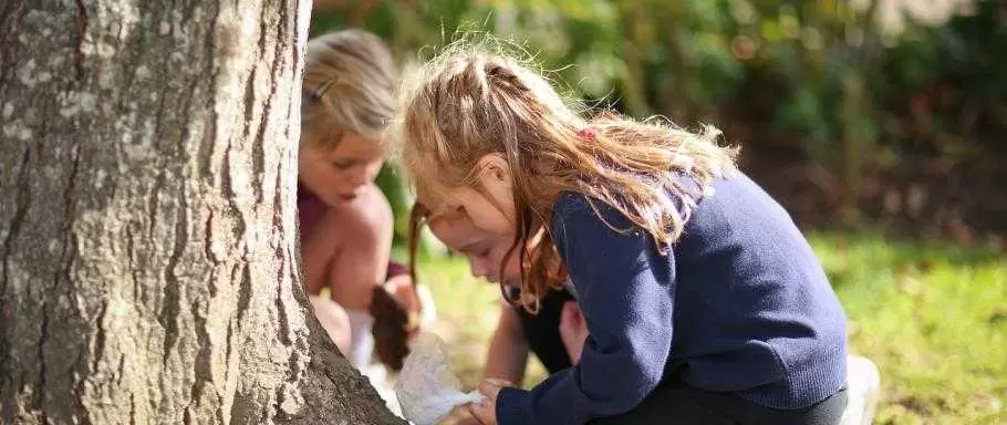 Wedmore First School Academy