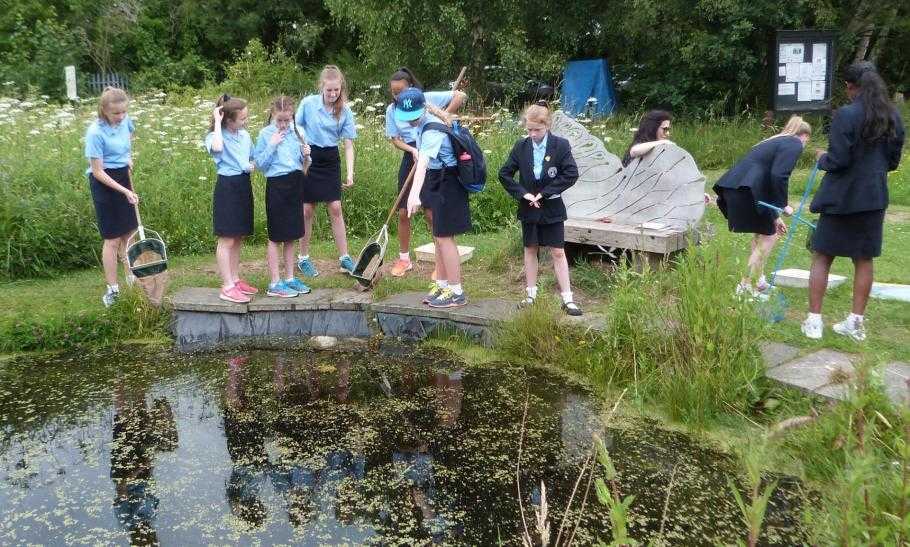 Wirral Grammar School for Girls Profile (2024)