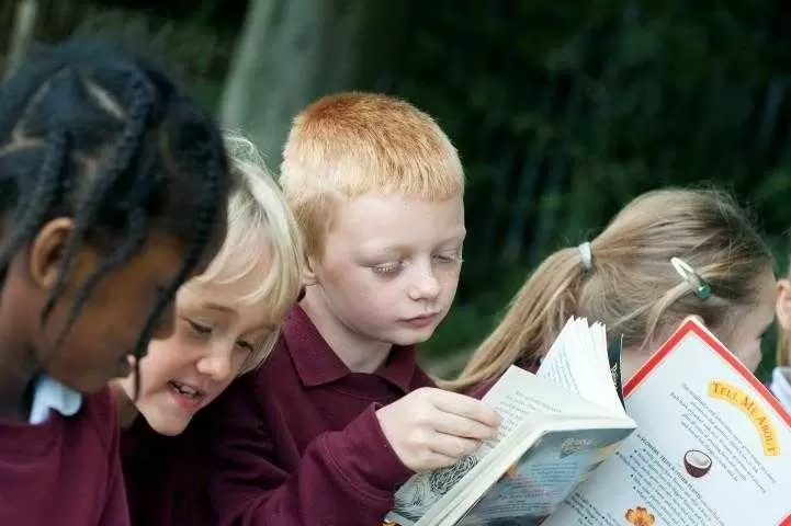 Carrfield Primary Academy