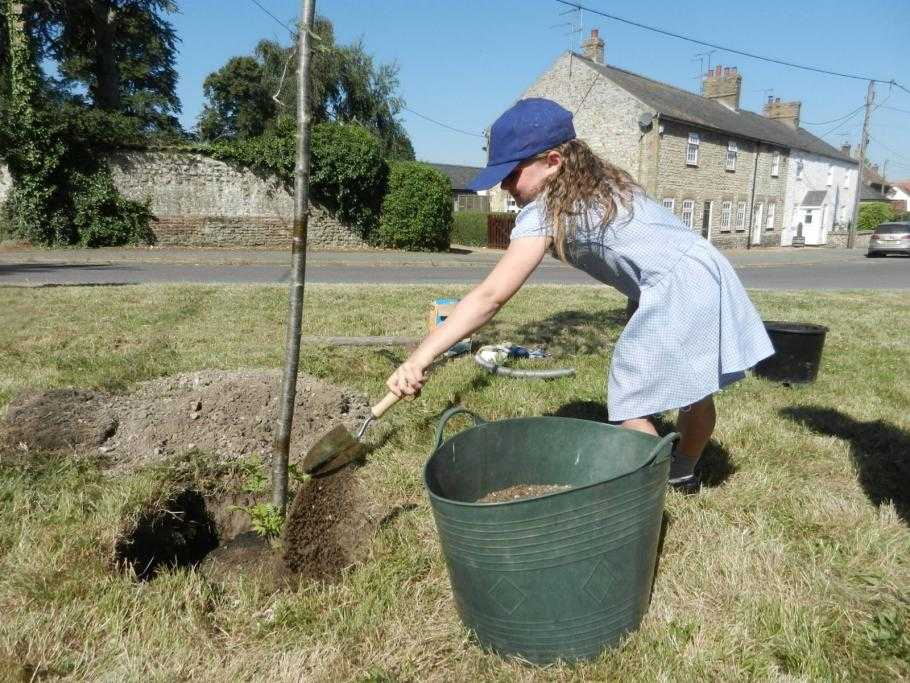 Best Schools in WeetingwithBroomhill (2024)