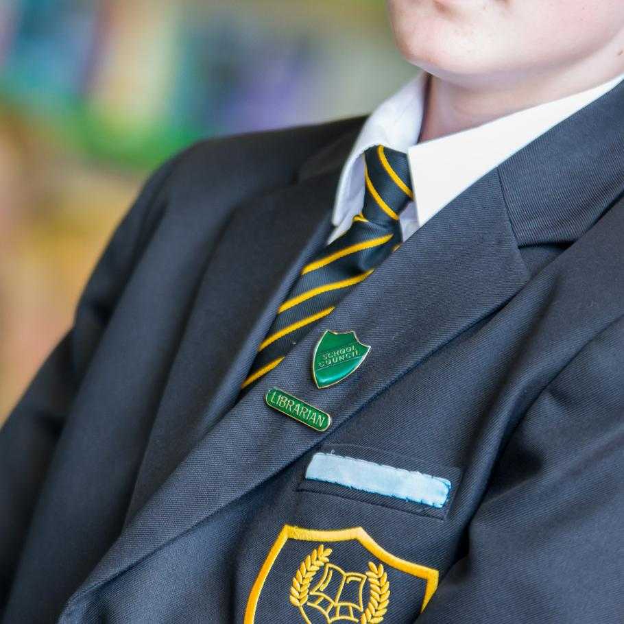 The Banovallum School Profile (2024)