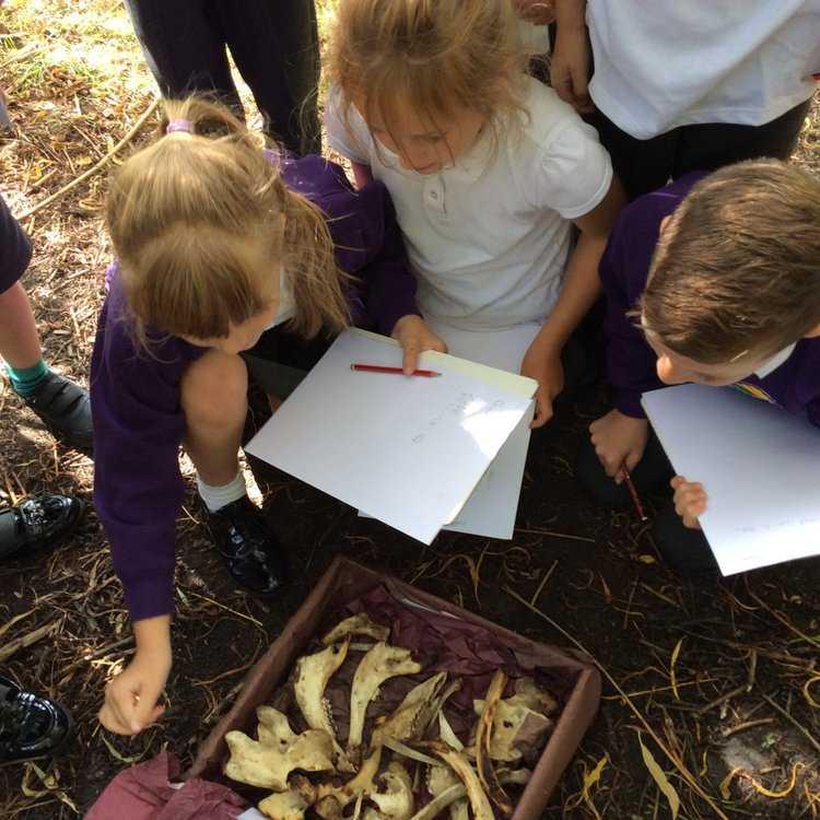 Godley Community Primary Academy Profile (2023)