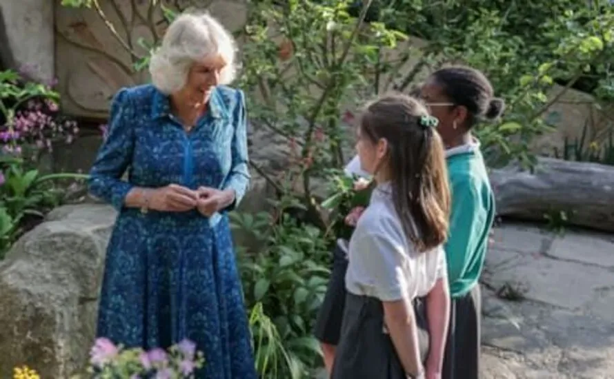 Sulivan Primary School