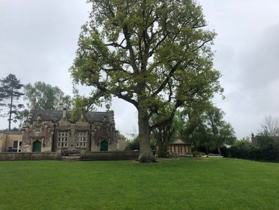 Best Schools in West Ashton (2024)