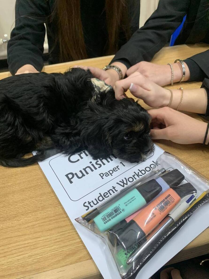 Stanley High School Profile (2023)