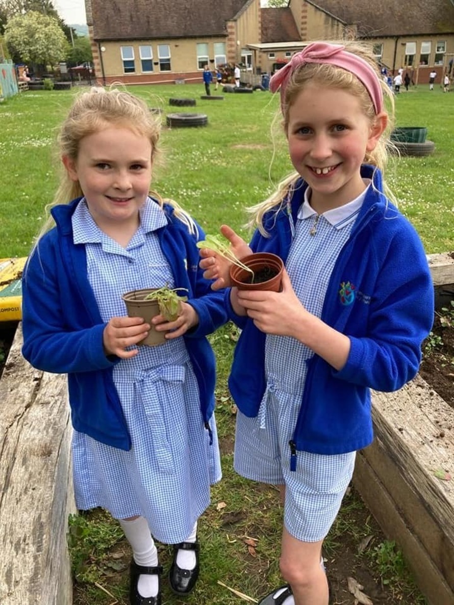 St Anne's Church of England Primary School in Bitton Profile