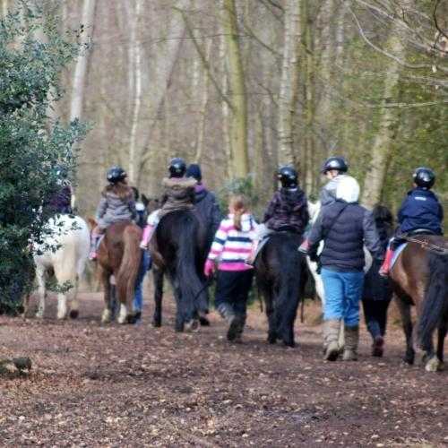 Chigwell Row Infant School Profile (2023)