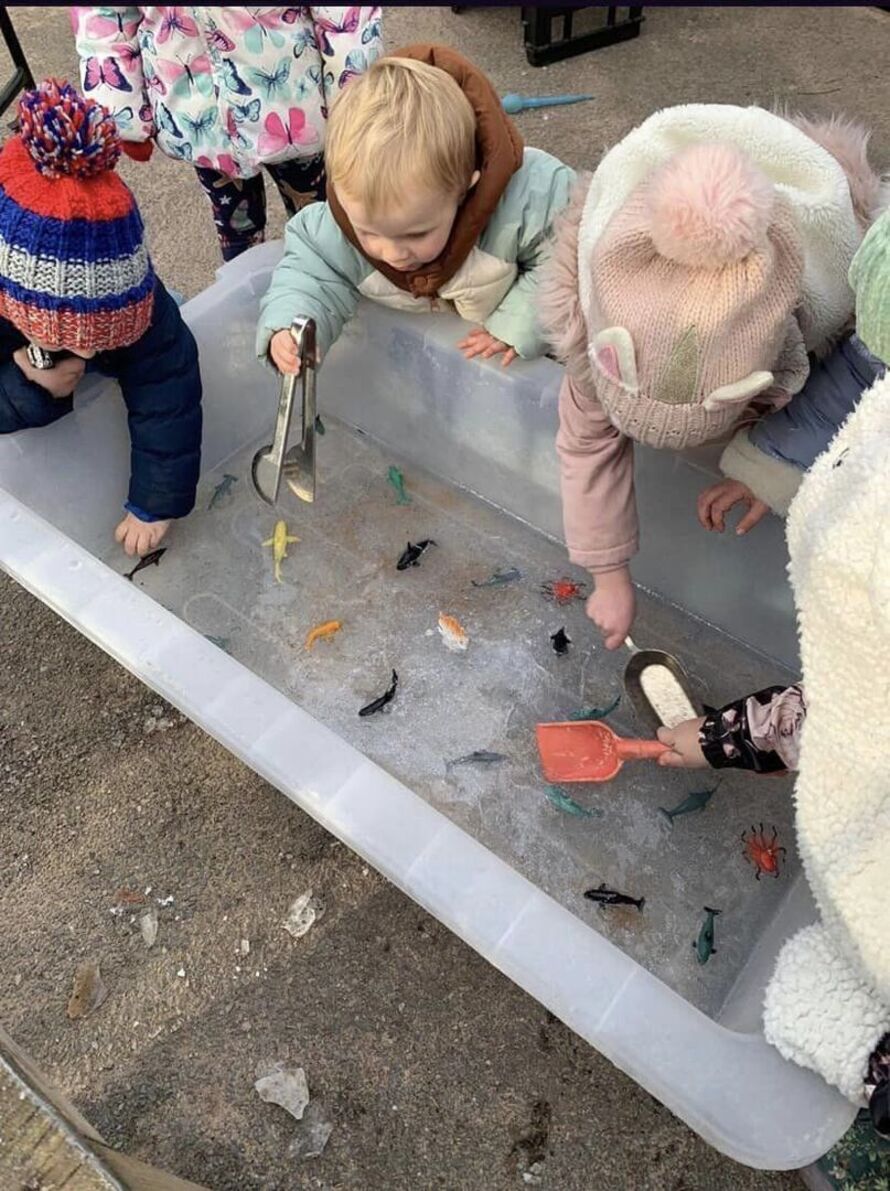 Shooting Stars Nursery School Gallery Photos of Campus Life