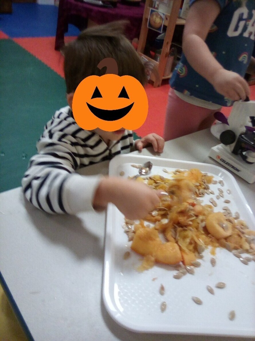 Honey Pot House Day Nursery (Knowle) Profile (2023)