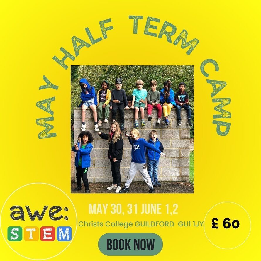 Best Schools in Worplesdon (2024)