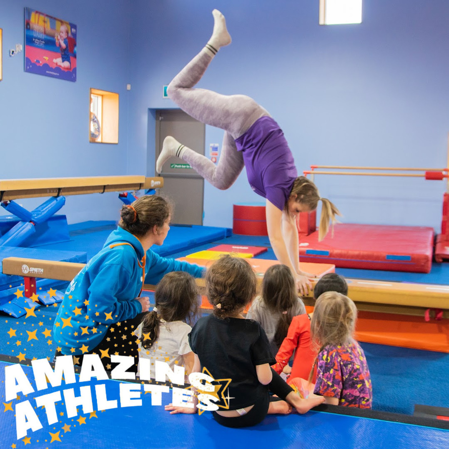 The Little Gym Handy Cross Profile (2023)