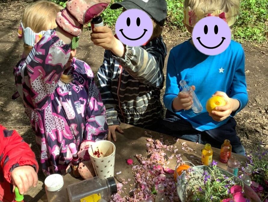 Little Blossoms Nursery Ltd Profile (2024)