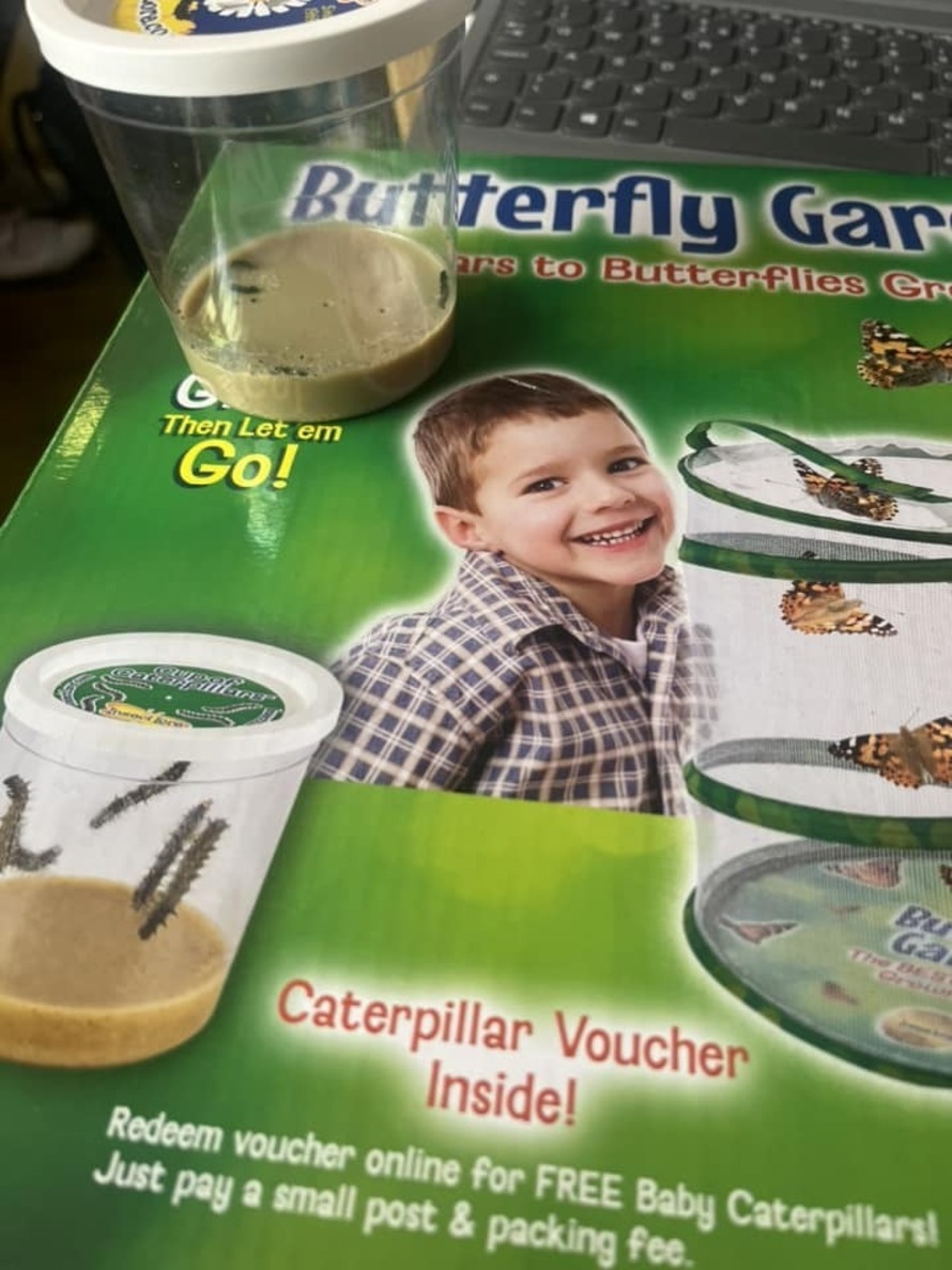 Best Schools in ClaytonleWoods (2024)