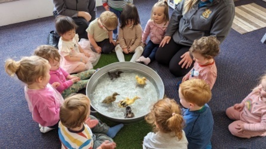 Greenbank Daycare Nursery Gallery Photos of Campus Life, Activities