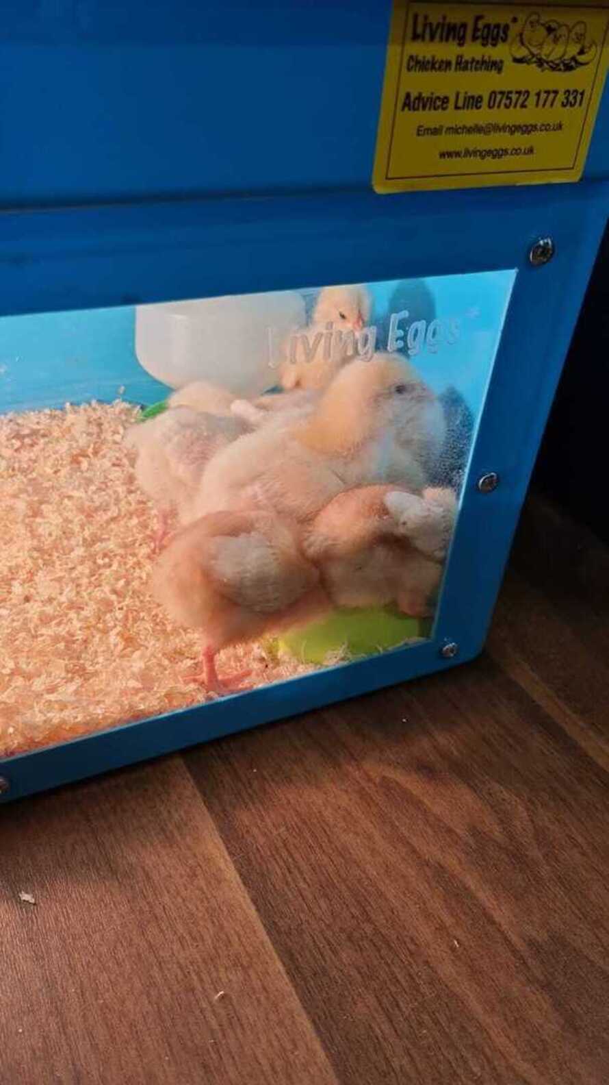 Busy Bees Day Nursery at Leamington Spa Profile (2023)