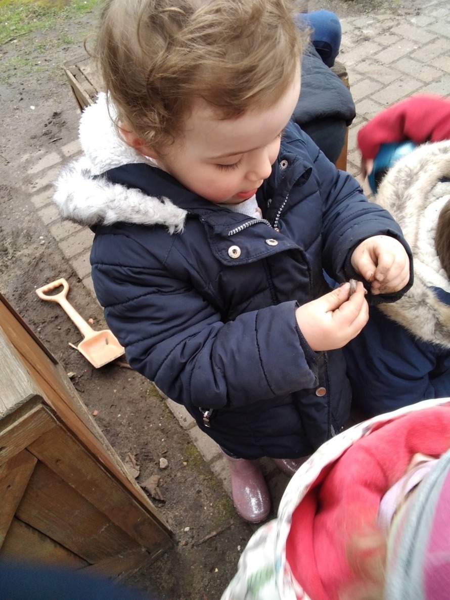 Bright Star Nursery Profile (2023)