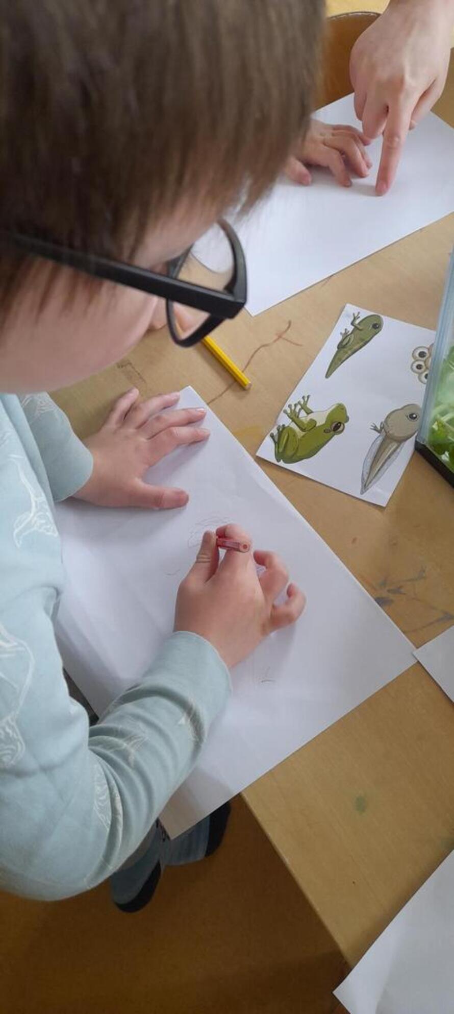 Busy Bees Day Nursery at Ashford Godinton Profile (2023)