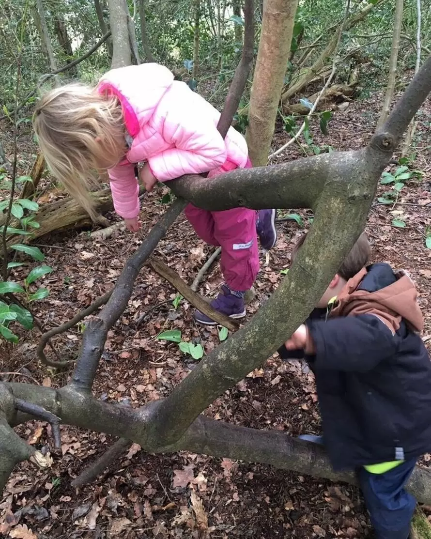 Pine Wood Nursery School