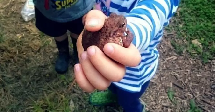 Nurture Outdoor Kindergarten