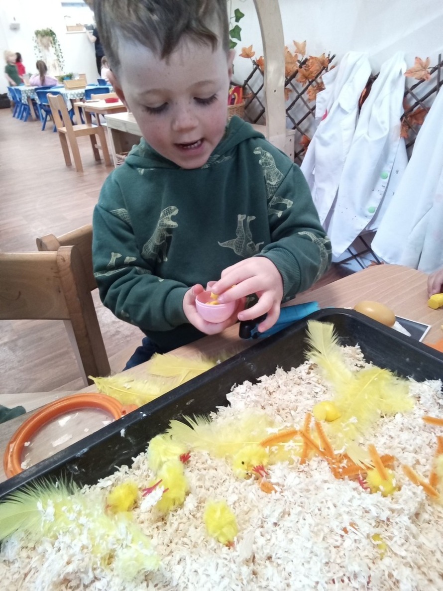 Busy Bees Day Nursery at Farnborough IQ Profile (2023)