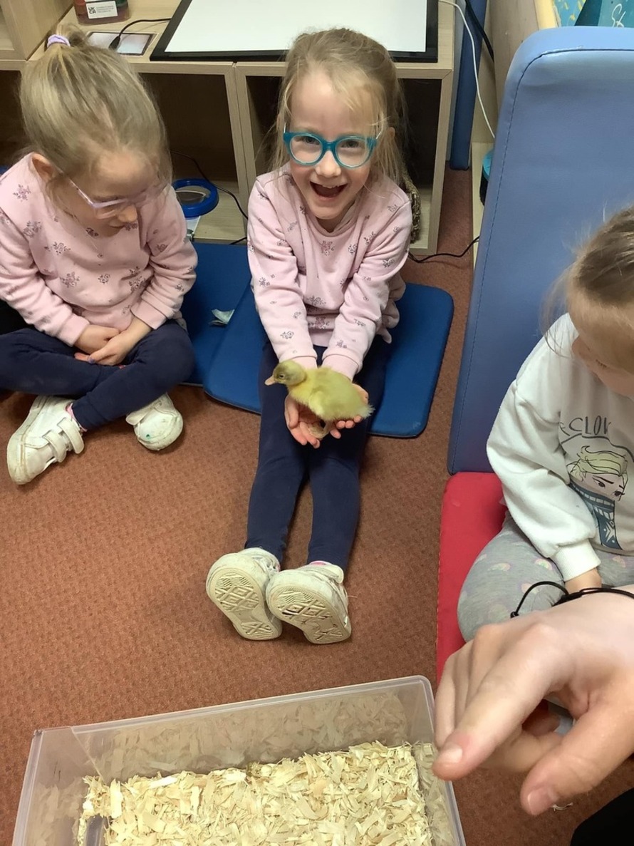 Best Schools in Wales (2024)