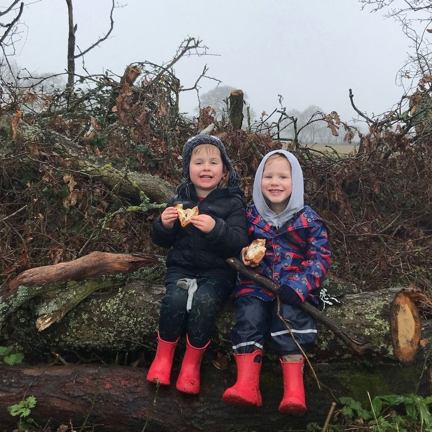 Old Dairy Farm Nursery Profile (2024)