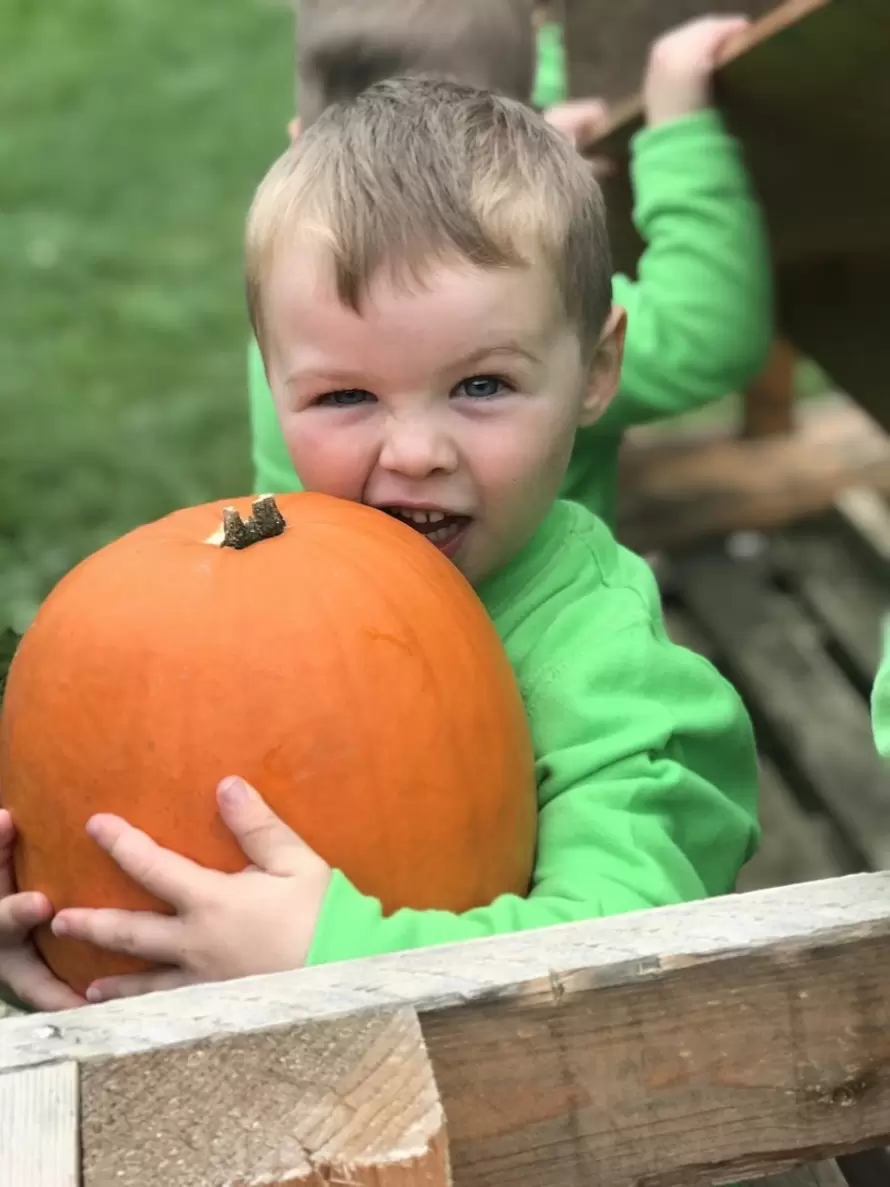 Neverland Childcare 2025 Detailed Profile with Reviews Neverland Childcare 2025 Detailed Profile with Reviews