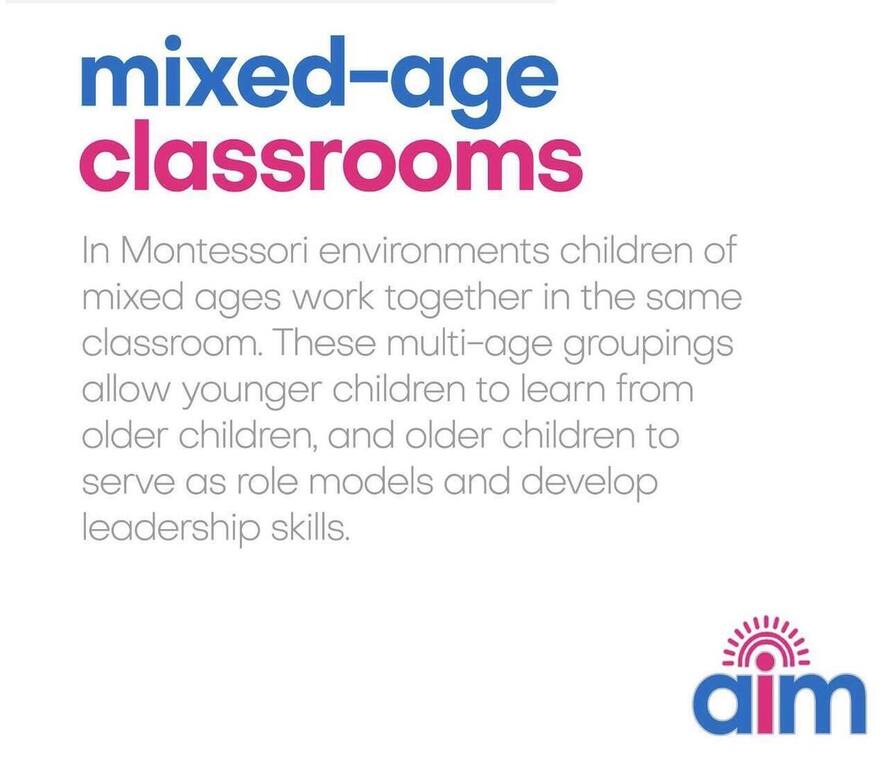 Plantpots Jesmond Profile (2023)